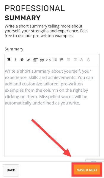 Add professional summary